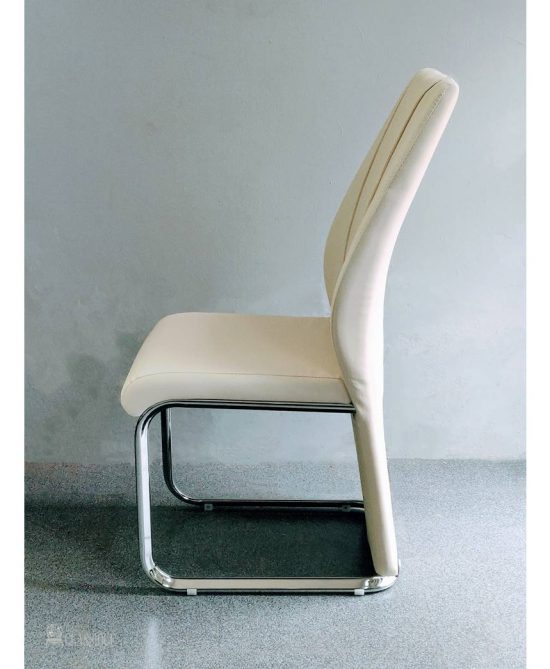 Arabela Dining Chair stainless steel leg silver